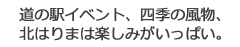 道の駅で開催されるイベントから 近隣スポットまで幅ひろくご紹介。