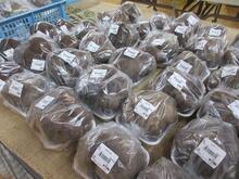 11月～12月　山の芋